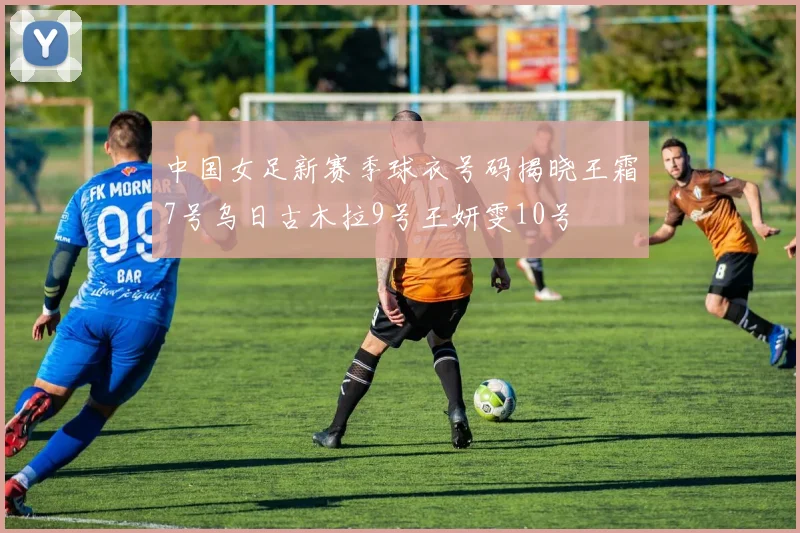 中国女足新赛季球衣号码揭晓王霜7号乌日古木拉9号王妍雯10号