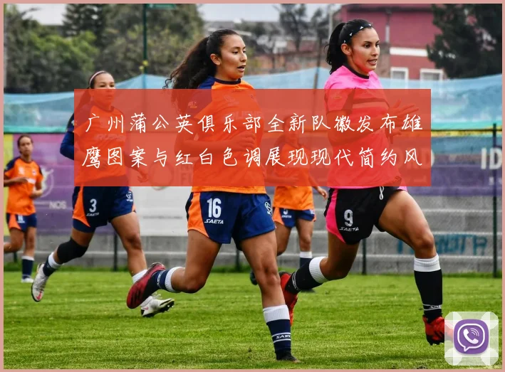 广州蒲公英俱乐部全新队徽发布雄鹰图案与红白色调展现现代简约风格